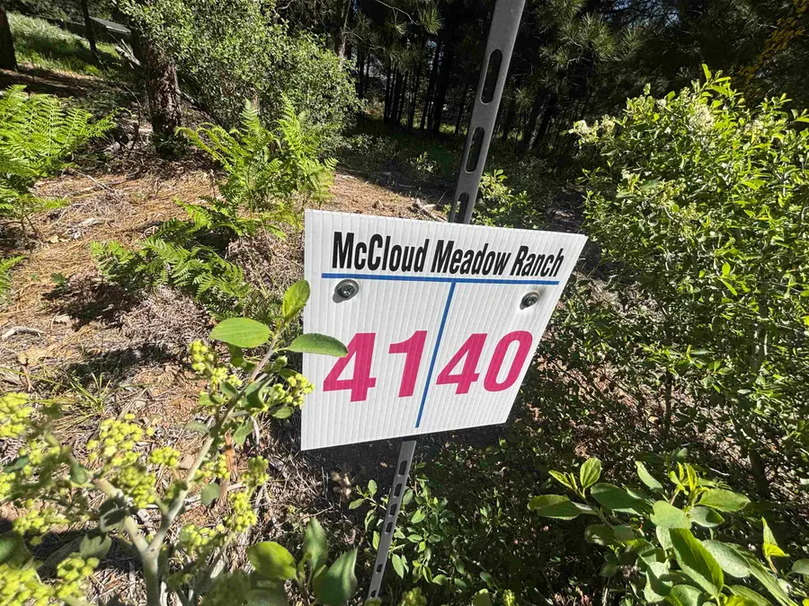 Lot 40 Panther Meadow, McCloud, CA 96057 - #2