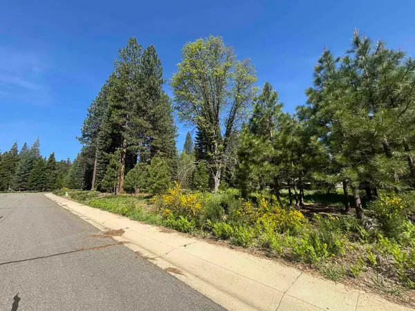 Lot 41 Panther Meadow, McCloud, CA 96057