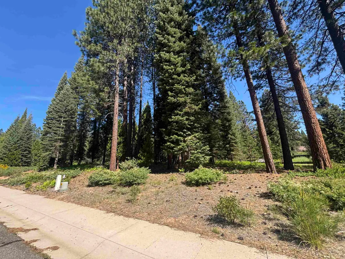 Lot 42 Panther Meadow, McCloud, CA 96057 - #1