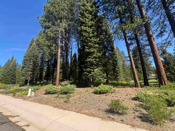 Lot 42 Panther Meadow, McCloud, CA 96057