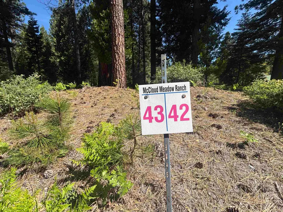 Lot 42 Panther Meadow, McCloud, CA 96057 - #2