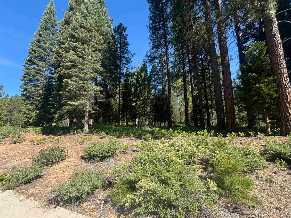 Lot 43 Panther Meadow, McCloud, CA 96057 - #1