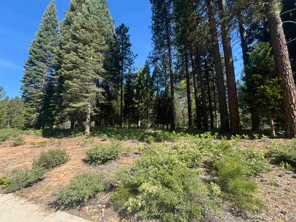 Lot 43 Panther Meadow, McCloud, CA 96057