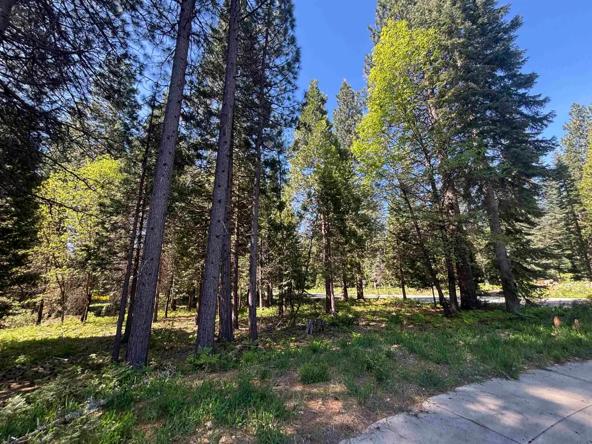 Lot 44 Panther Meadow, McCloud, CA 96057 - #1