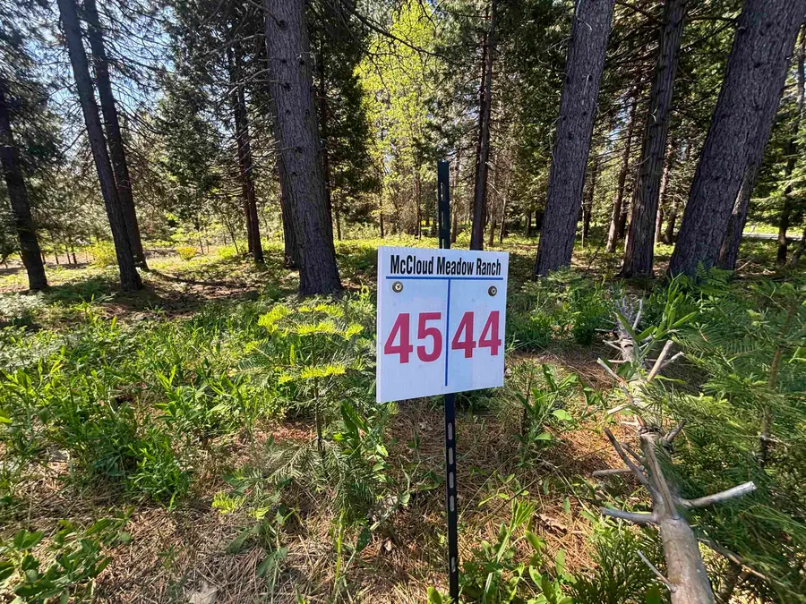 Lot 44 Panther Meadow, McCloud, CA 96057 - #2