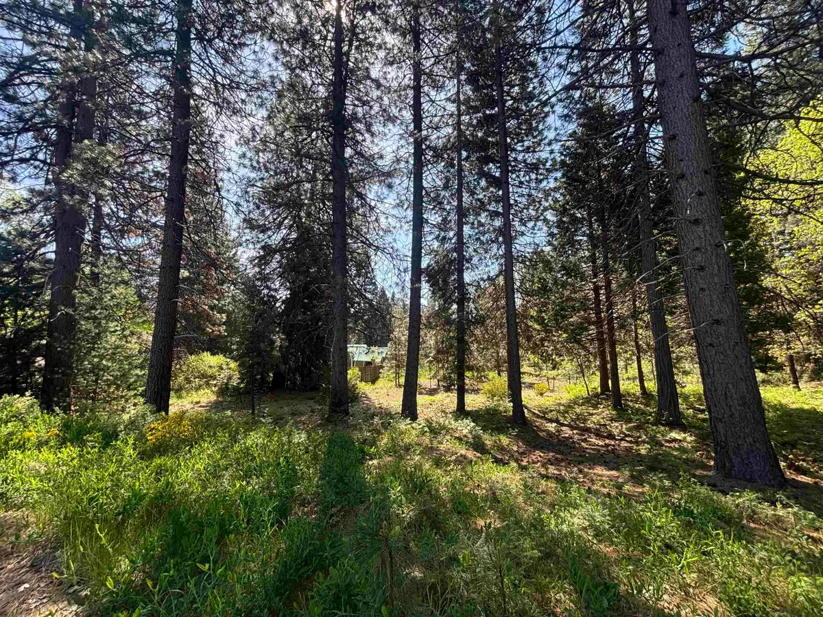 Lot 45 Panther Meadow, McCloud, CA 96057 - #1