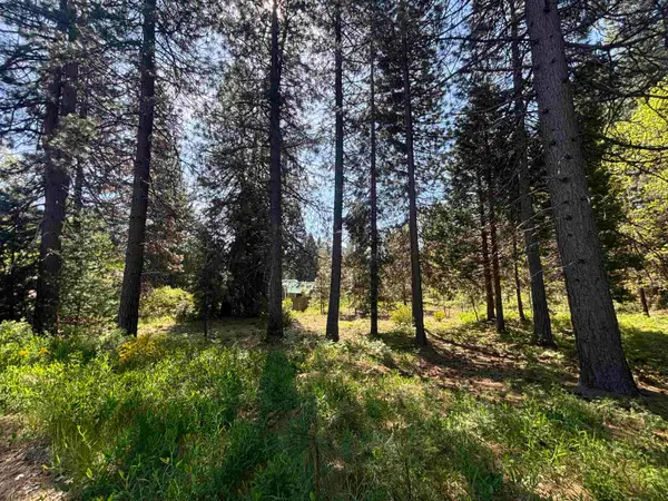 Lot 45 Panther Meadow, McCloud, CA 96057