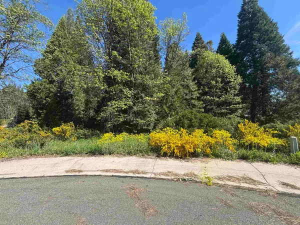 Lot 46 Panther Ct, McCloud, CA 96057
