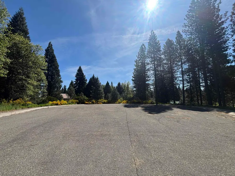 Lot 46 Panther Ct, McCloud, CA 96057 - #3