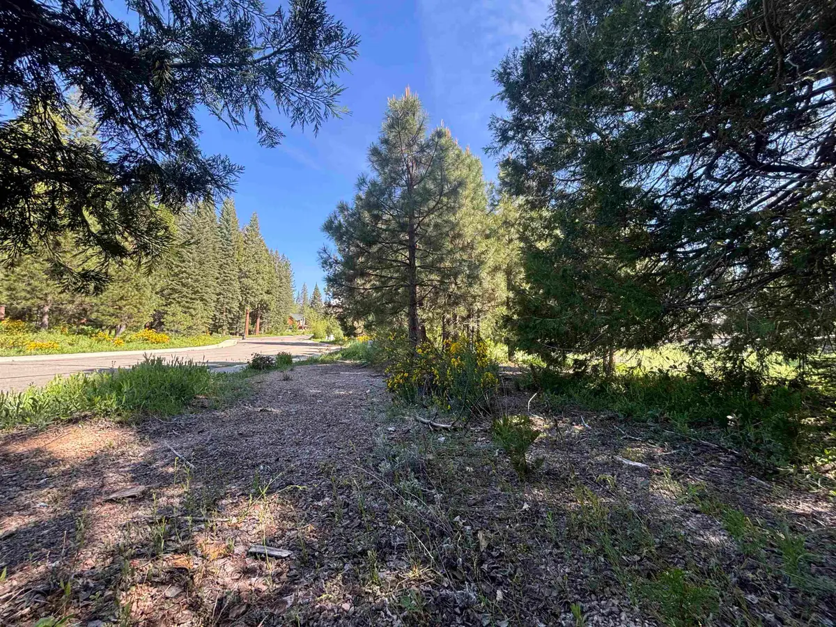 Lot 48 Old Mill, McCloud, CA 96057 - #1