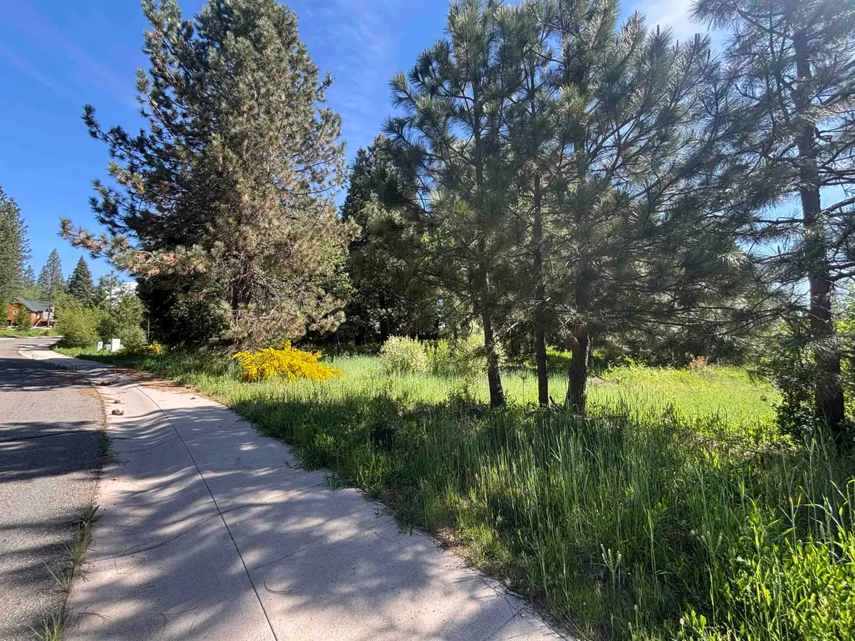 Lot 49 Old Mill, McCloud, CA 96057 - #1