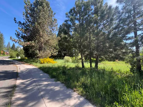 Lot 49 Old Mill, McCloud, CA 96057