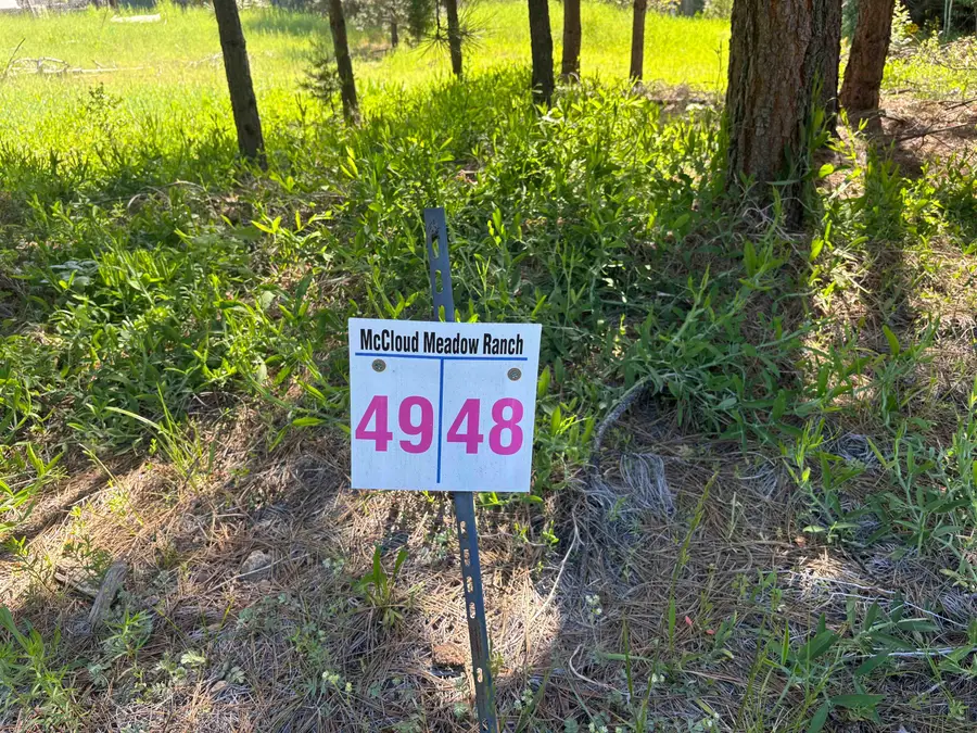 Lot 49 Old Mill, McCloud, CA 96057 - #2