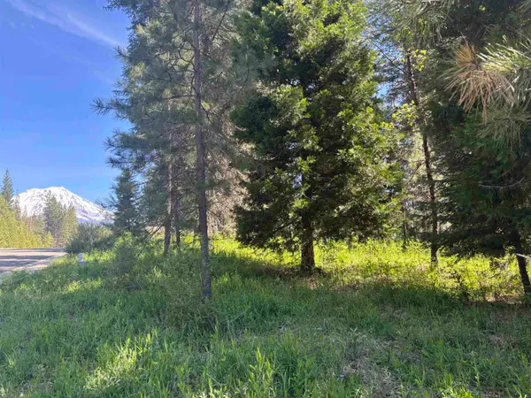 Lot 50 Old Mill, McCloud, CA 96057