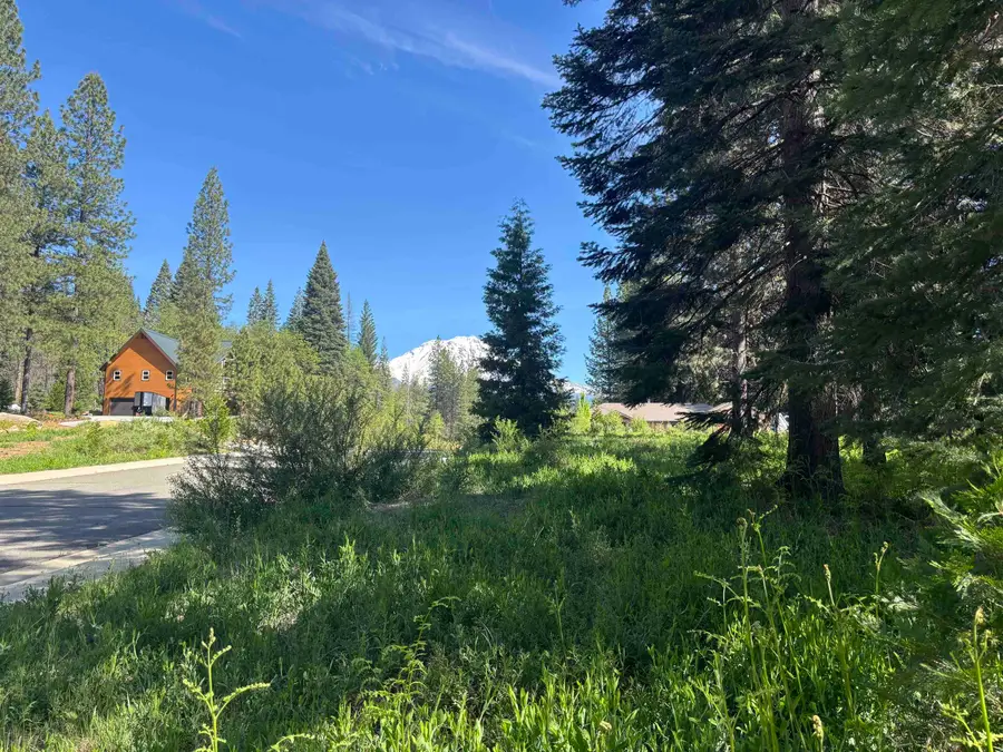Lot 52 Old Mill, McCloud, CA 96057 - #2