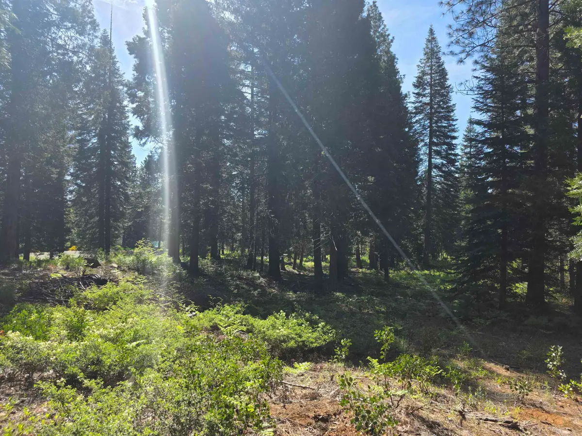 Lot 58 Old Mill, McCloud, CA 96057 - #1