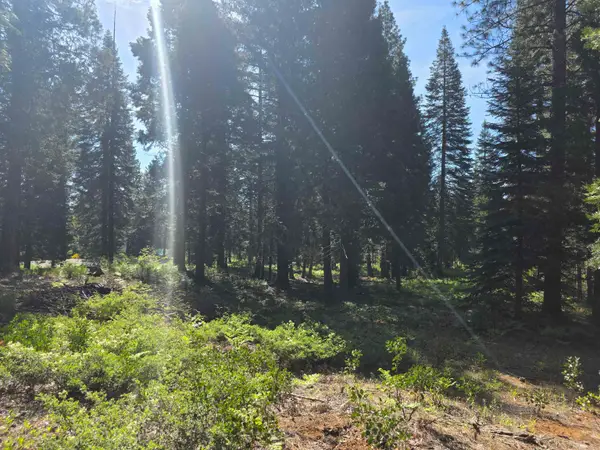 Lot 58 Old Mill, McCloud, CA 96057
