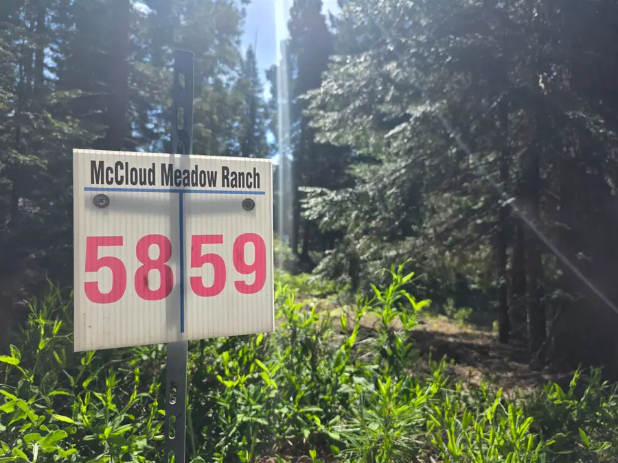 Lot 58 Old Mill, McCloud, CA 96057 - #2