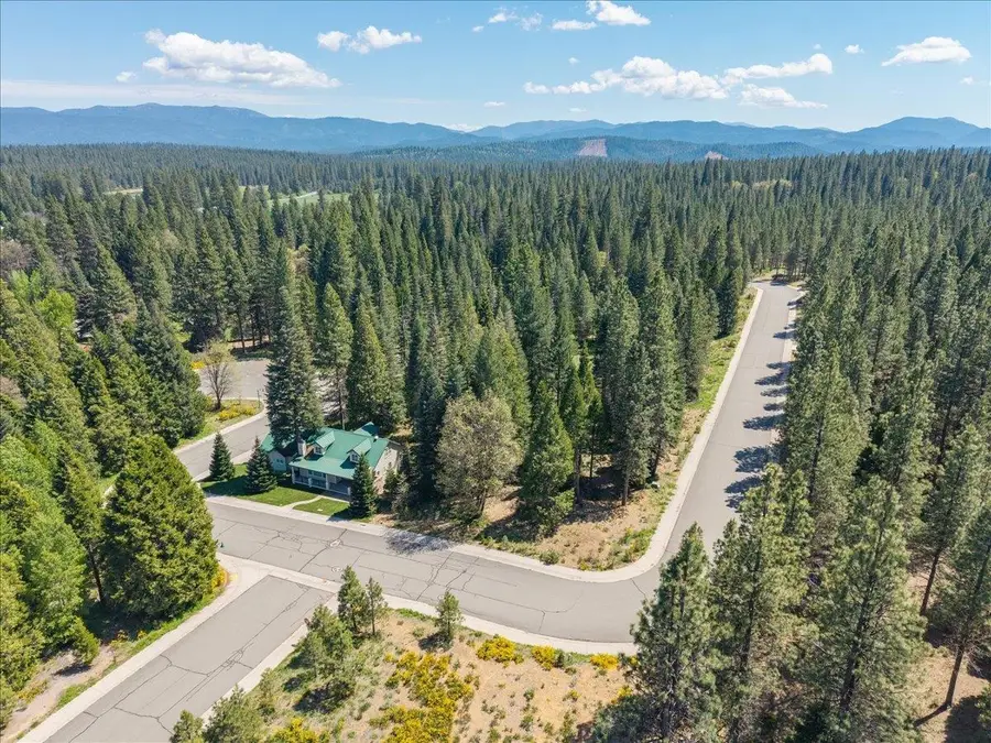 Lot 58 Old Mill, McCloud, CA 96057 - #3