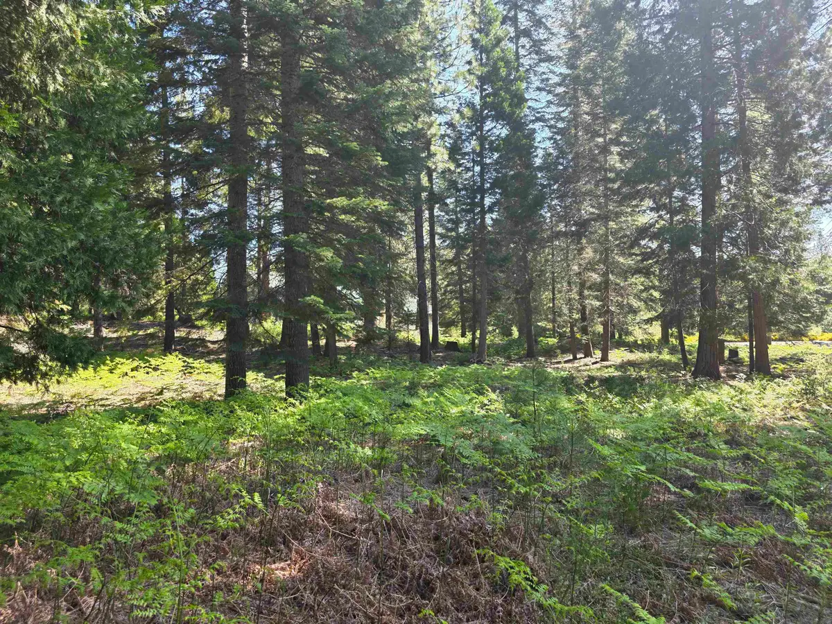 Lot 59 Old Mill, McCloud, CA 96057 - #1