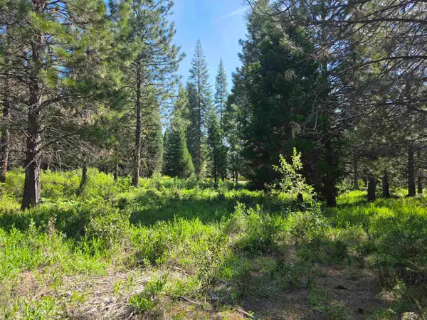 Lot 60 Old Mill, McCloud, CA 96057