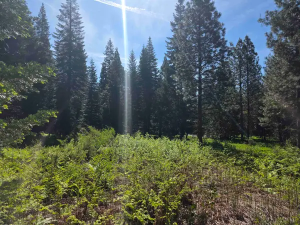 Lot 61 Old Mill, McCloud, CA 96057