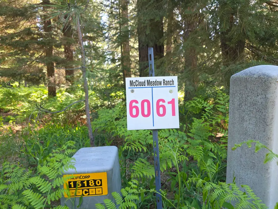 Lot 61 Old Mill, McCloud, CA 96057 - #2