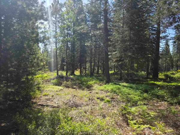 Lot 63 Old Mill, McCloud, CA 96057