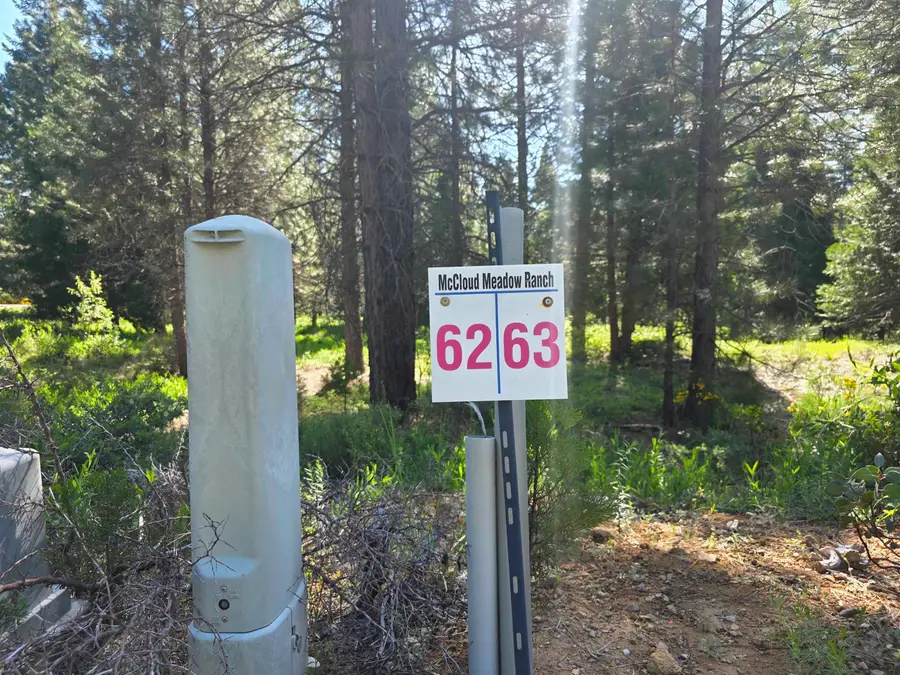 Lot 63 Old Mill, McCloud, CA 96057 - #2