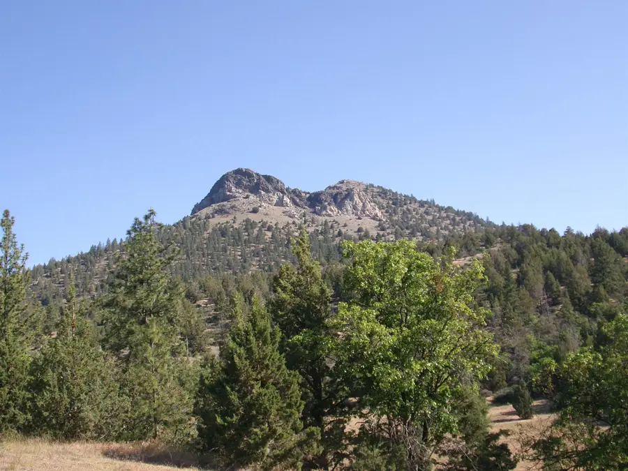 18031 Gazelle Callahan Rd, Gazelle, CA 96034 - #2