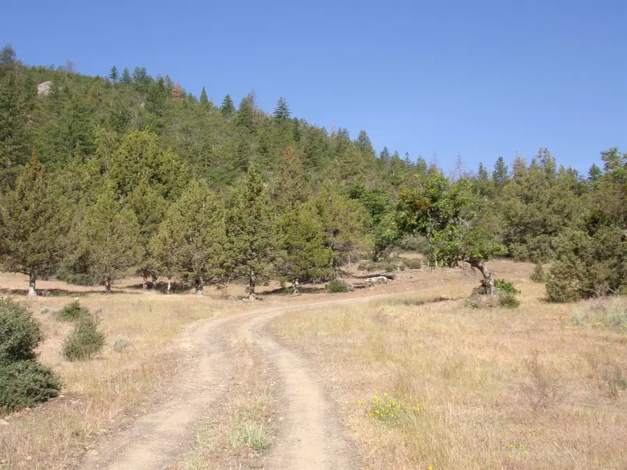 18031 Gazelle Callahan Rd, Gazelle, CA 96034 - #3