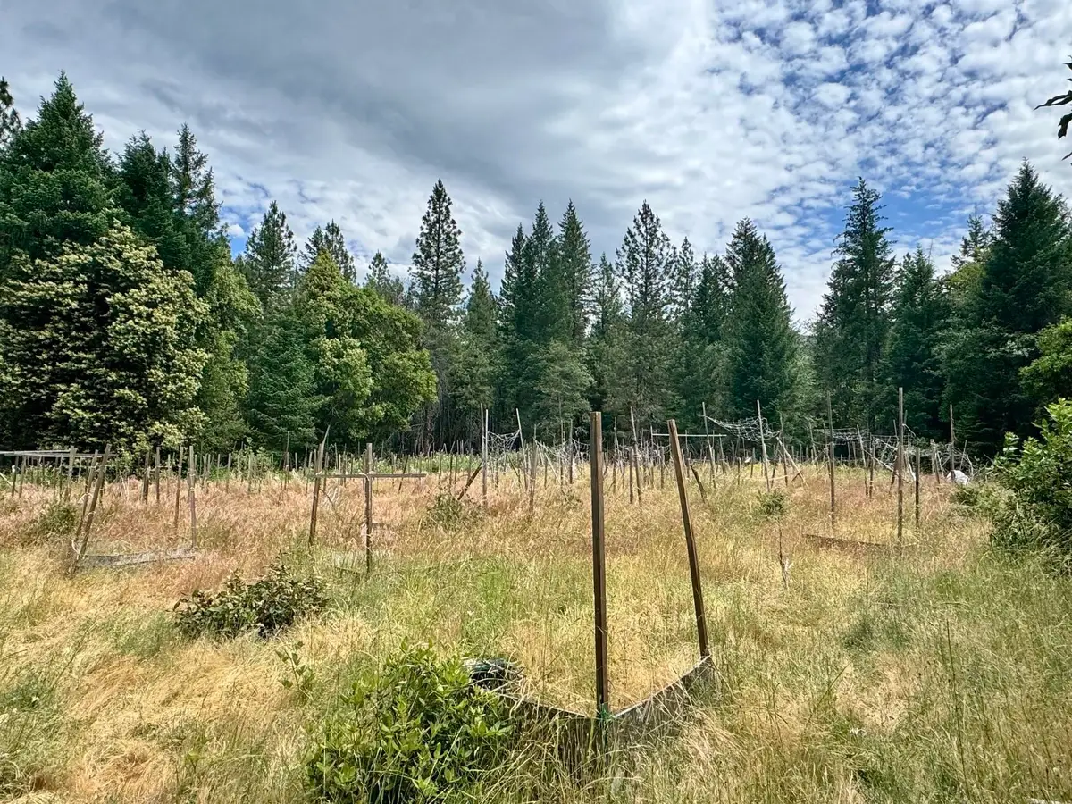 3.2 Miles out China Grade Road, Happy Camp, CA 96039 - #1
