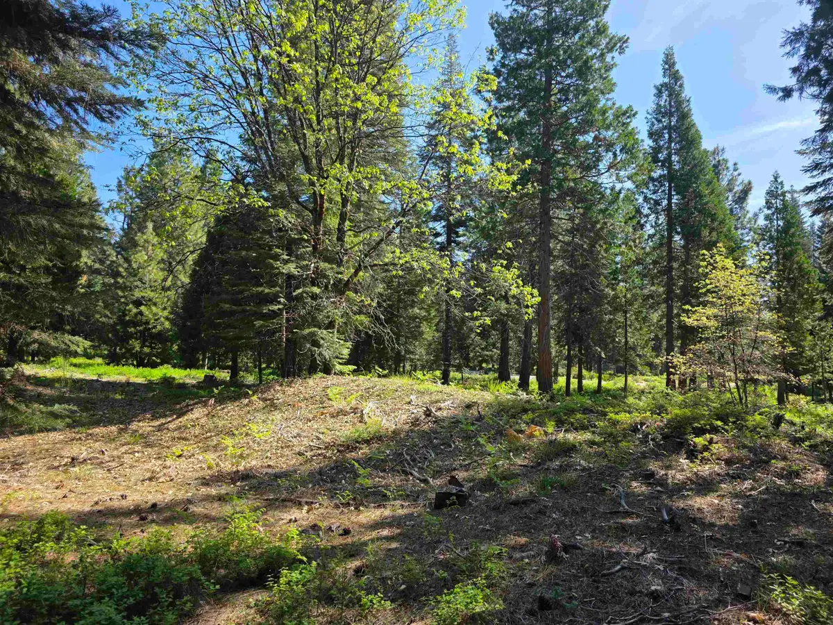 Lot 64 Old Mill, McCloud, CA 96057 - #1