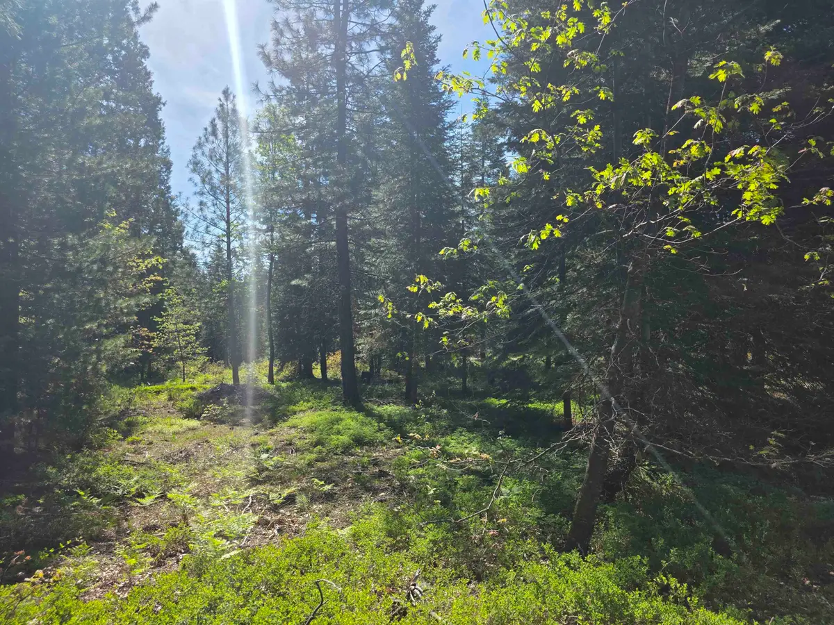 Lot 65 Old Mill, McCloud, CA 96057 - #1