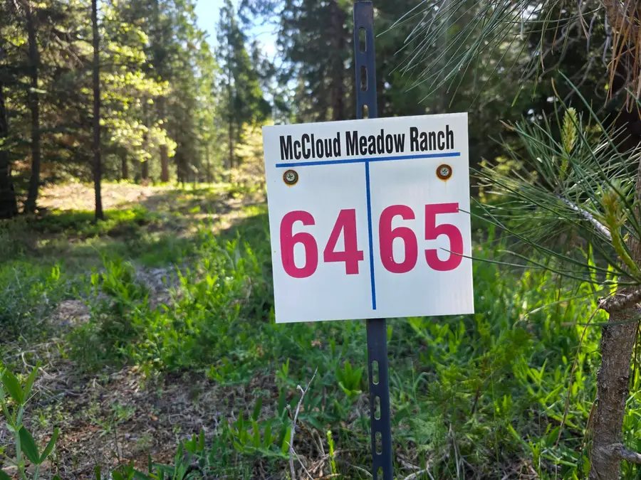 Lot 65 Old Mill, McCloud, CA 96057 - #2