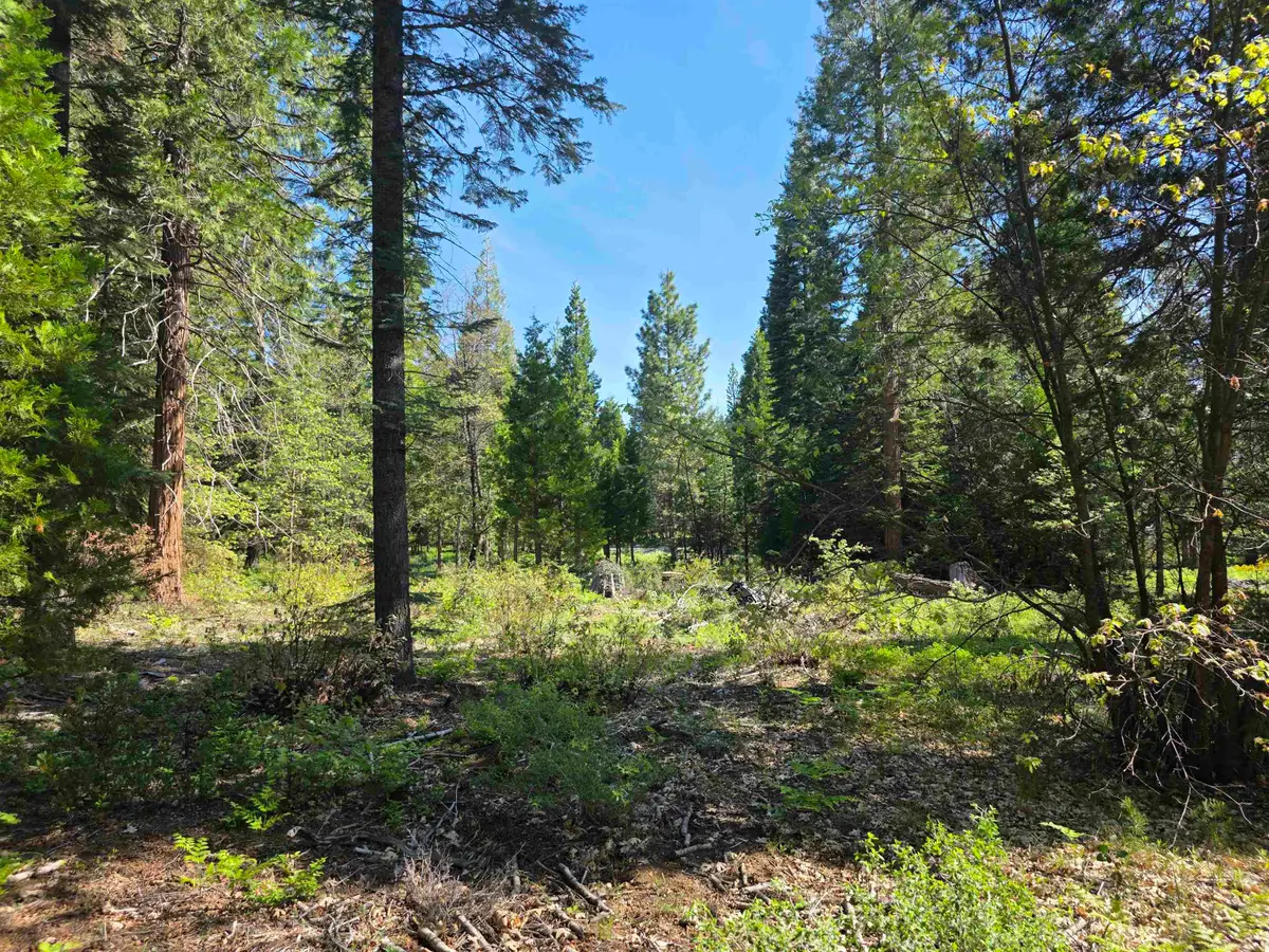 Lot 66 Old Mill, McCloud, CA 96057 - #1