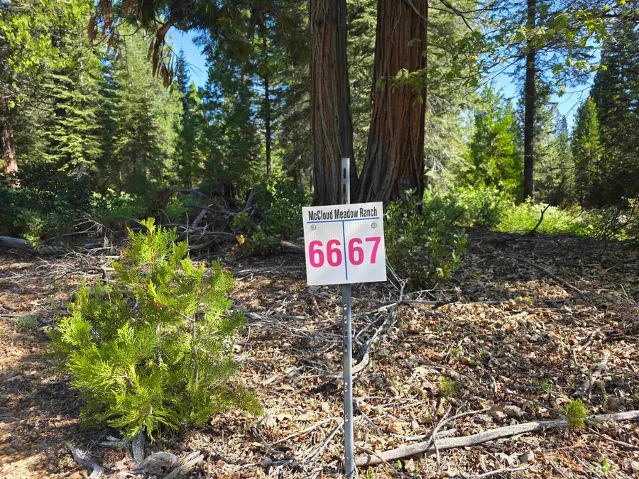 Lot 66 Old Mill, McCloud, CA 96057 - #2