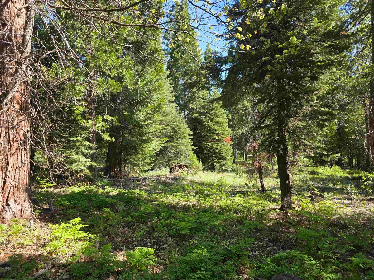 Lot 67 Old Mill, McCloud, CA 96057 - #1