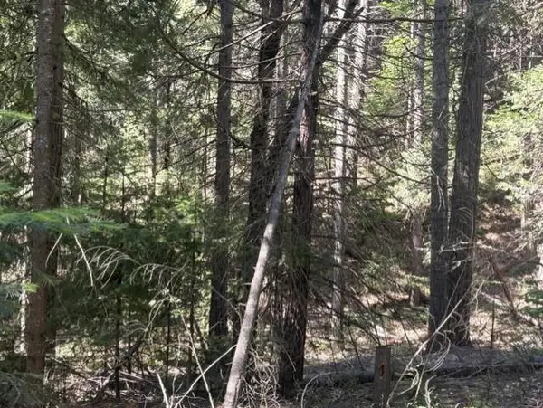 Lot 9 Audubon, Mt Shasta, CA 96067