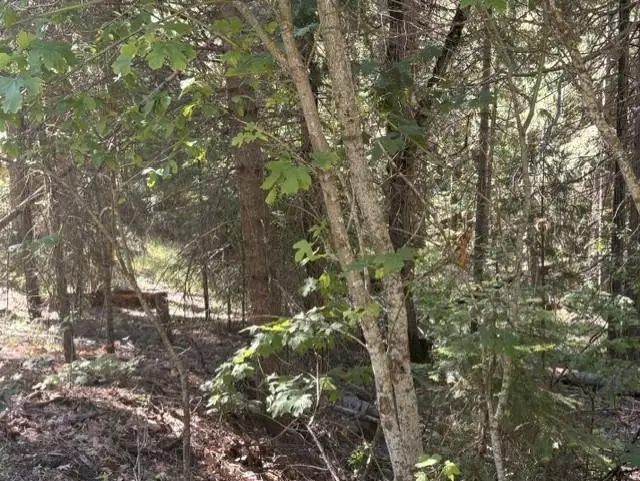 Lot 9 Audubon, Mount Shasta, CA 96067 - #2