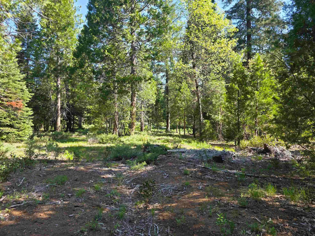 Lot 69 Old Mill Dr, McCloud, CA 96057 - #1