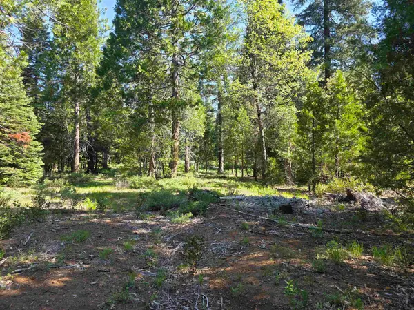 Lot 69 Old Mill Dr, McCloud, CA 96057