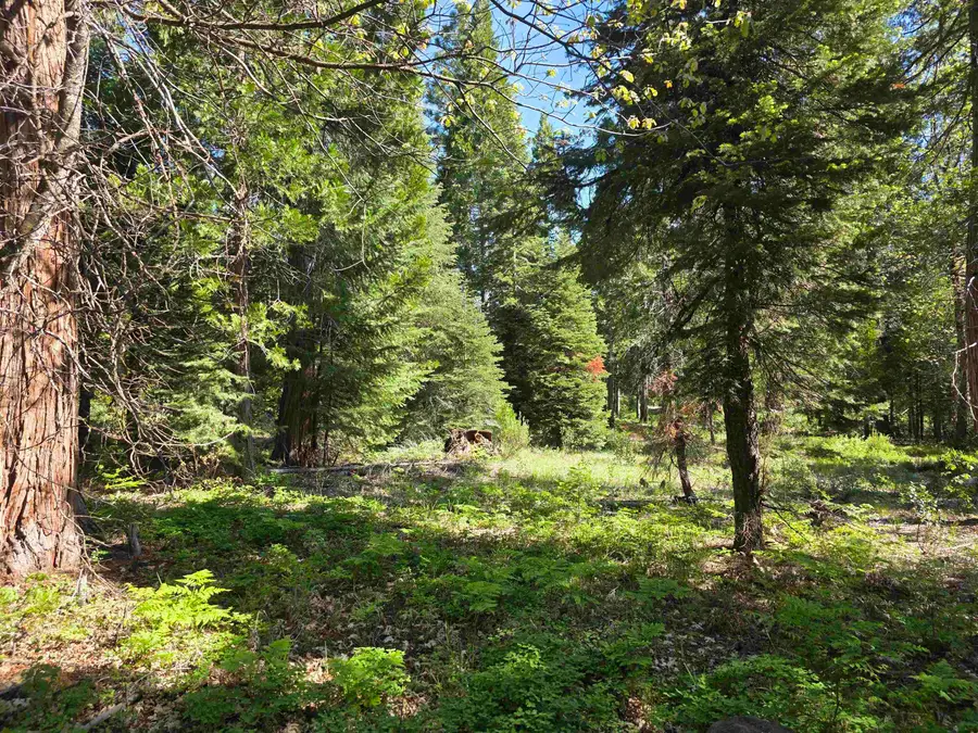 Lot 69 Old Mill Dr, McCloud, CA 96057 - #3