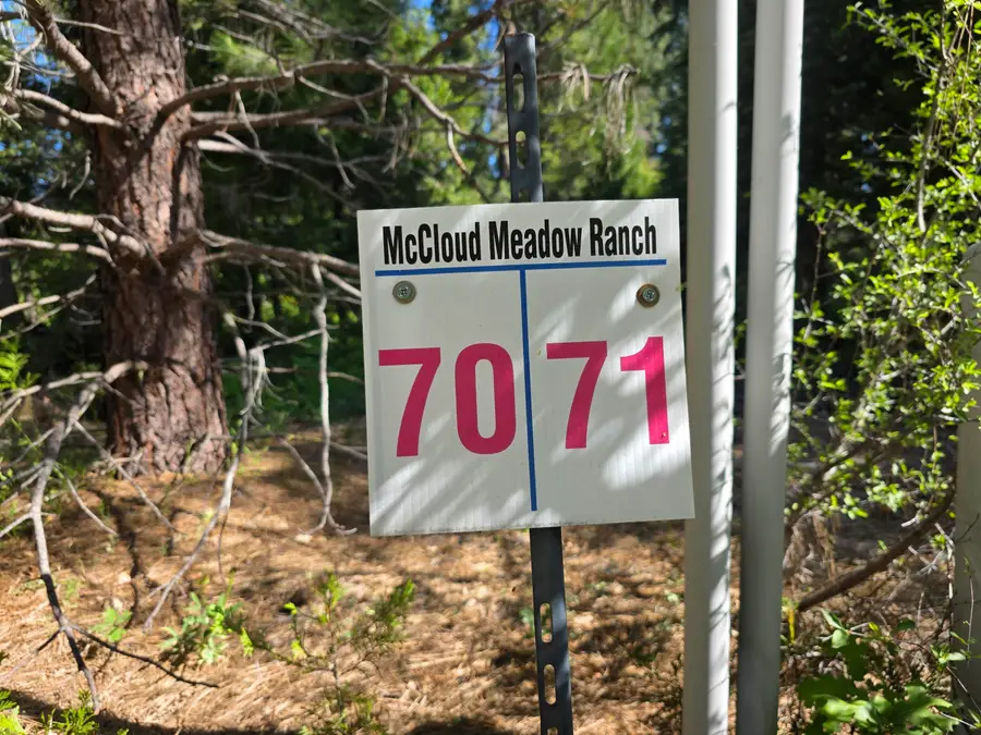 Lot 70 Old Mill Dr, McCloud, CA 96057 - #2