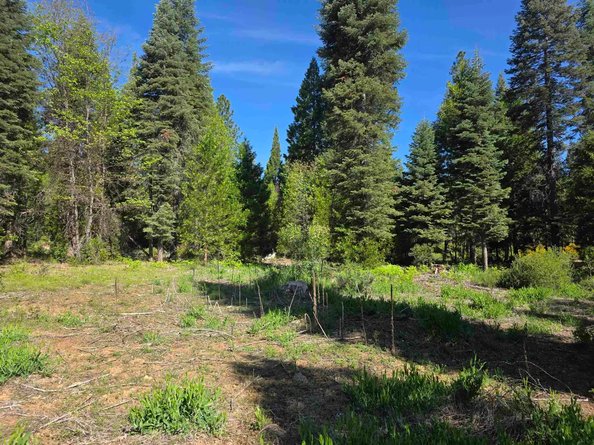 Lot 71 Old Mill Dr, McCloud, CA 96057 - #1