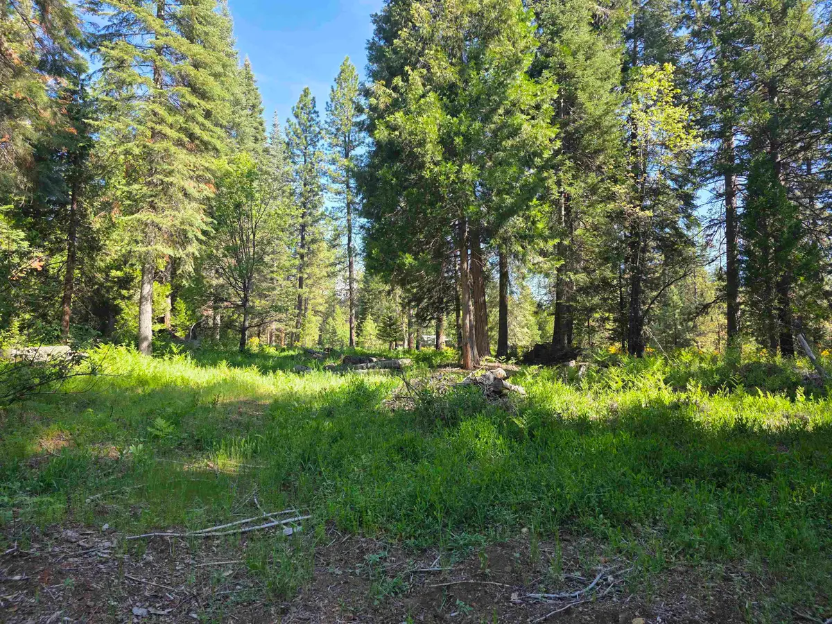 Lot 72 Old Mill Dr, McCloud, CA 96057 - #1