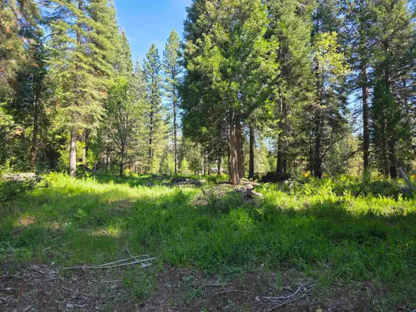 Lot 72 Old Mill Dr, McCloud, CA 96057
