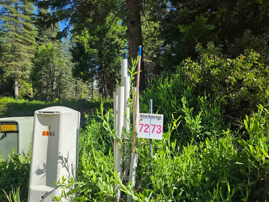 Lot 72 Old Mill Dr, McCloud, CA 96057 - #2