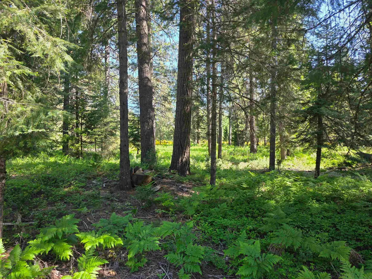 Lot 73 Old Mill Dr, McCloud, CA 96057 - #1