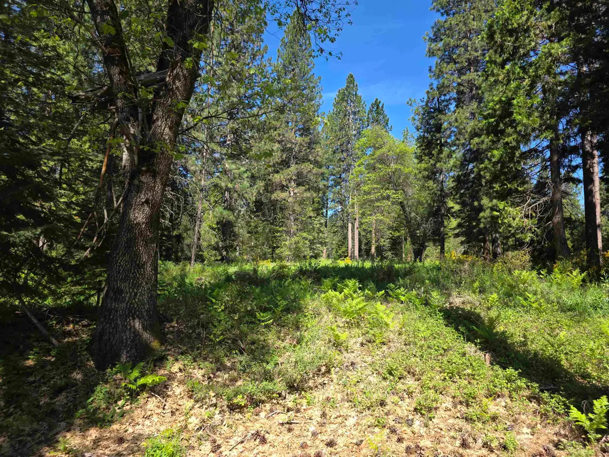 Lot 74 Old Mill Dr, McCloud, CA 96057 - #1